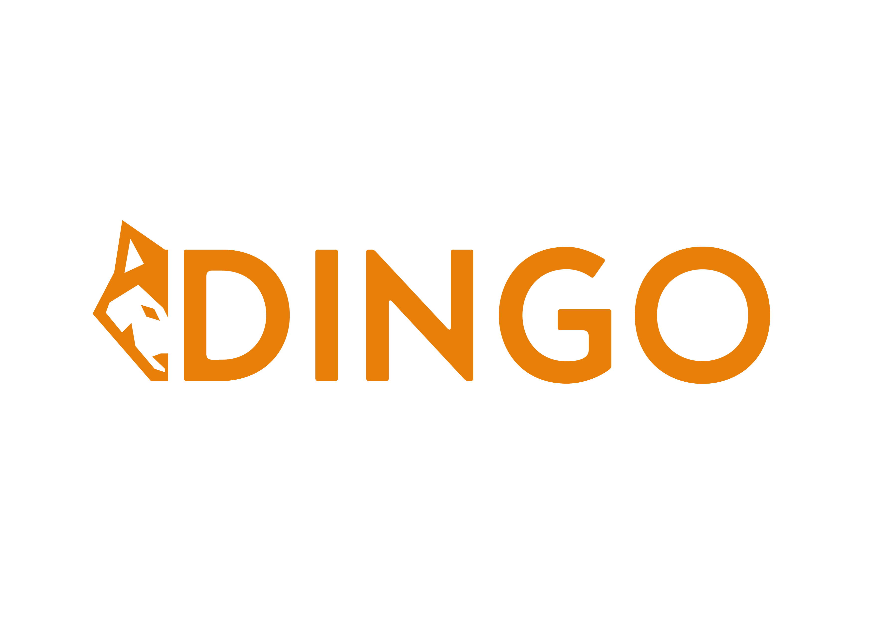 dingo